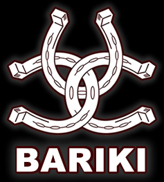 株式会社BARIKI